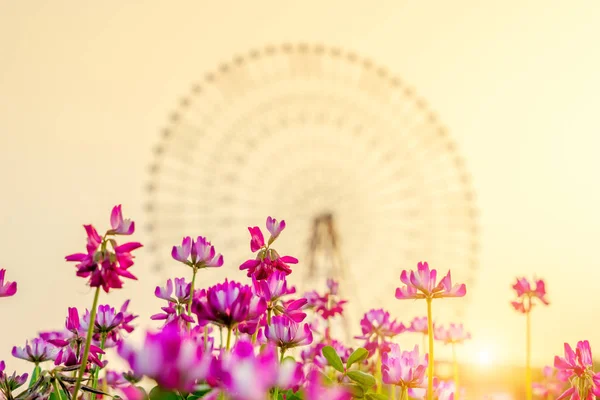Röda Blommor Och Pariserhjul Fjärran Royaltyfria Stockfoton