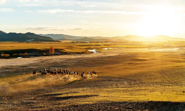 Diriger un groupe de chevaux — Photo