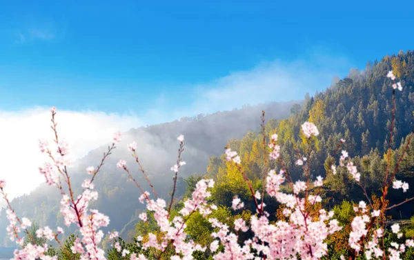 Molnigt berg — Stockfoto