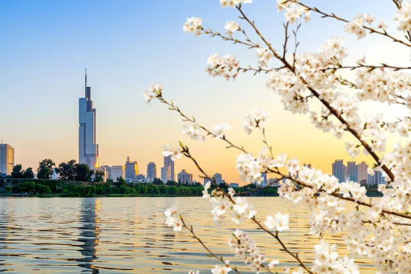 Nanjing Xuanwu Lake City nézet — Stock Fotó