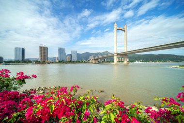 Modern köprü ve nehirler