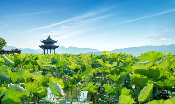 China hangzhou west lake landschap — Stockfoto