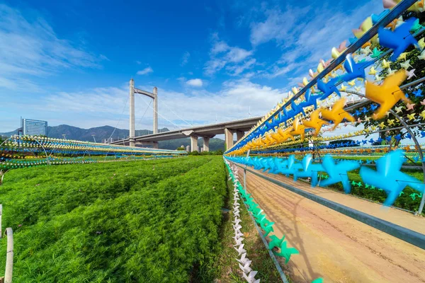 カラフルな紙風車 — ストック写真