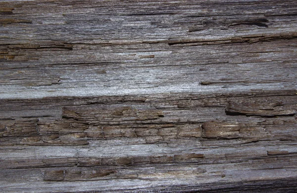 Rotten Weathered Wood Texture Wood Background Nature Natural — Stock Photo, Image