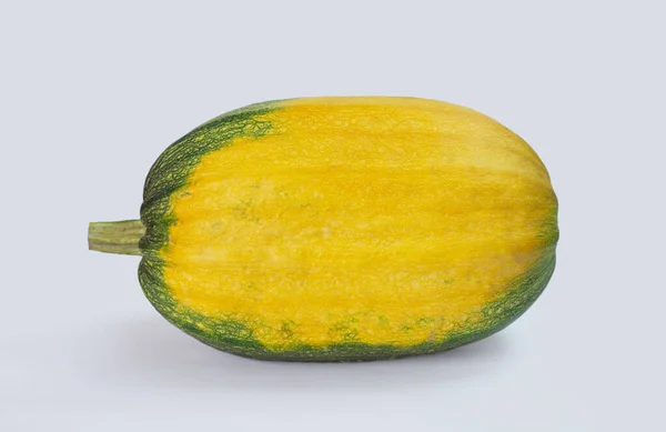 Large Yellow Green Pumpkin Horizontal Position — Stock Photo, Image