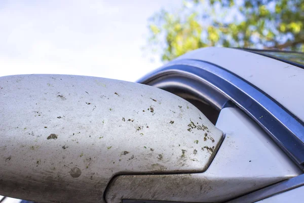 Çarpışan araba kaza böcek. Sivrisinek ve araç ön gnats ezmek