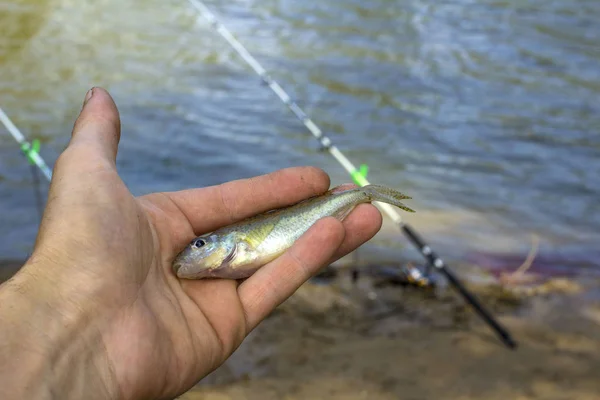 魚の川とピンぼけ効果と回転の背景をぼかしで漁師の手の中 — ストック写真