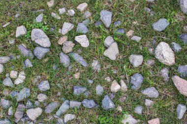 Yeşil sarmaşık doku ile eski taş duvar