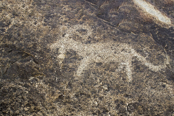 Cholpon-Ata, Kyrgyzstan - December 7 2018: Petroglyphs museum.