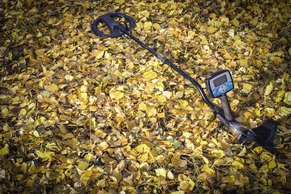 man on a treasure hunt with a metal detector in the woods on the field