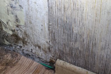 Odanın köşesindeki siyah küf.