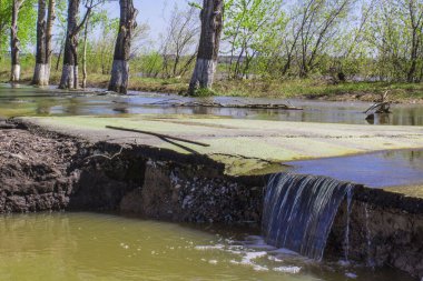 yolun bahar sel, ön ve arka arka plan bulanık bokeh efektli sırasında yok