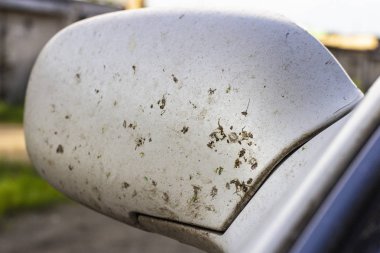 Kaza böcek araba tampon ve radyatör üzerinde. Sivrisinekler ezmek 