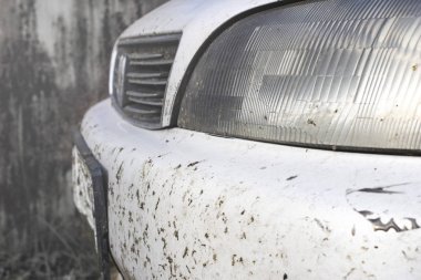 Kaza böcek araba tampon ve radyatör üzerinde. Sivrisinekler ezmek 