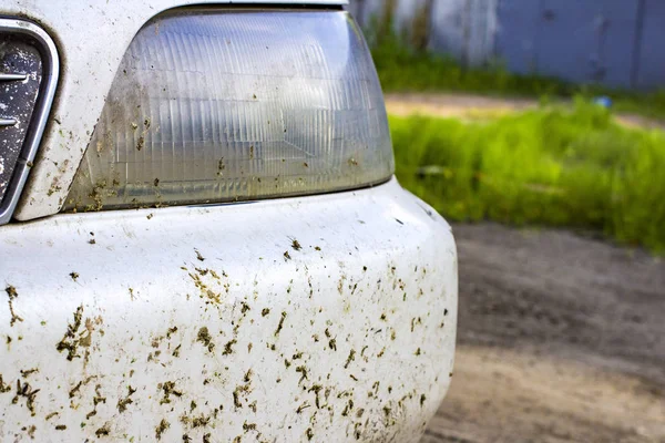 Kaza böcek araba tampon ve radyatör üzerinde. Sivrisinekler ezmek 