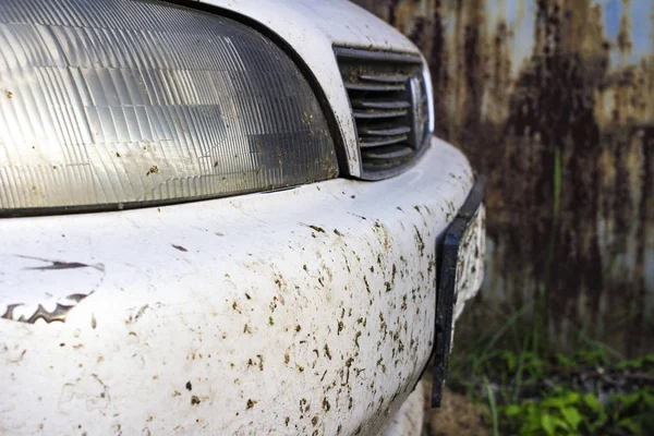 Kaza böcek araba tampon ve radyatör üzerinde. Sivrisinekler ezmek 