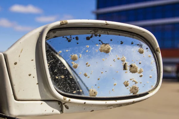 dirty car rear view mirror