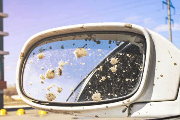dirty car rear view mirror