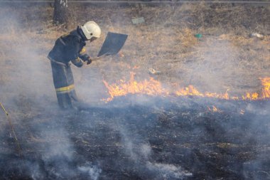 Azgın orman bahar yangınları. Yanan kuru ot, göl boyunca sazlık. 