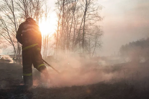 Wütende Waldbrände. Verbrennendes trockenes Gras, Schilf am See. — Stockfoto