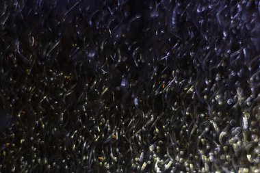 bulanık kıvılcım ve ark wel duman soyut yakın çekim görüntü