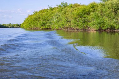 Boğulmuş bir adamı ararken küçük tahta bir tekneden gelen dalgalar.