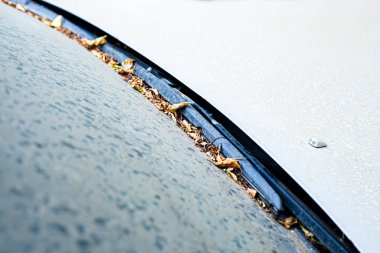 İlk su damlaları kirli bir arabanın yüzeyine ulaşır. Yıkanması ve temizlenmesi gerekir. Bu da bir servis merkezinde aşınma ve araç teşhisine yol açar.