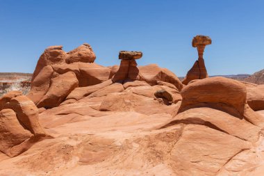 Mantarı Hoodoos Grand merdiven-Escalante Ulusal Anıtı, Utah, ABD