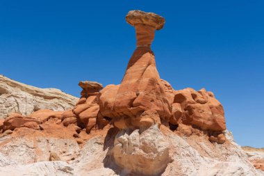 Mantarı Hoodoos Grand merdiven-Escalante Ulusal Anıtı, Utah, ABD