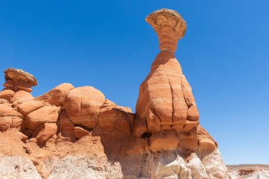 Mantarı Hoodoos Grand merdiven-Escalante Ulusal Anıtı, Utah, ABD