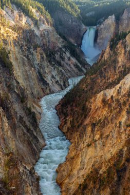 Yellowstone Milli Parkı, Wyoming, Amerika Kanyon Falls indir