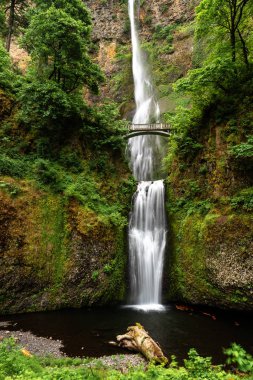 Multnomah Falls, Columbia River Gorge, Oregon, ABD