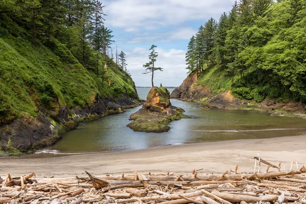 Deadman Cove Cape Desapontamento Washington Eua — Fotografia de Stock