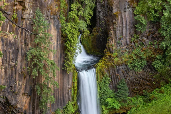 Toketee Falls North Umpqua River Oregon Eua — Fotografia de Stock