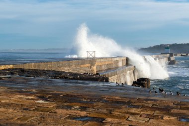 Breakwater of the harbor of Saint-Jean-de-Luz, France clipart