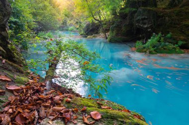 Kaynak Urederra Nehri Baquedano, Navarre, İspanya