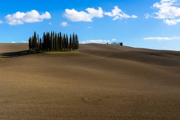 Пейзаж Кипарисами Рядом San Quirico Orcia Тоскана Италия — стоковое фото