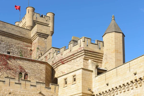 Olite Kraliyet Sarayı Bir Kale Saray Olite Şehir Navarre Spanya — Stok fotoğraf