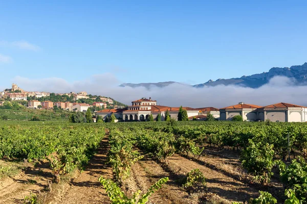 Weinberg Mit Laguardia Stadt Als Hintergrund Rioja Alavesa Spanien — Stockfoto