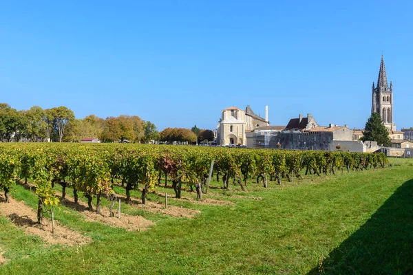 Vineyard Saint Emilion Village Aquitaine France — Stock Photo, Image