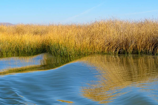 Reed Nas Margens Lago Titicaca Peru — Fotografia de Stock