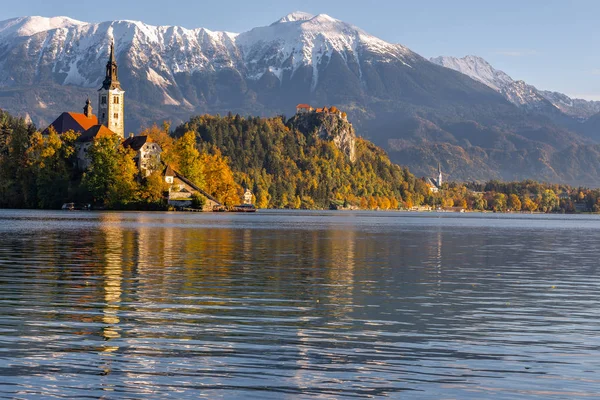 Slovenya Bled Gölü Nde Meryem Varsayımı Kilisesi — Stok fotoğraf