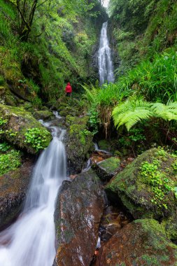 Waterfall of Belaustegi beech forest, Gorbea Natural Park, Vizcaya, Spain clipart