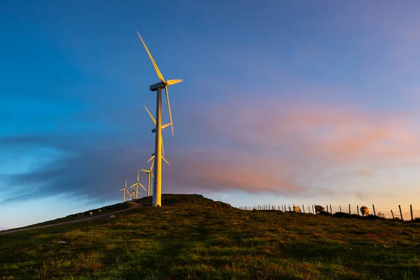 Windkraftanlagen Park Bei Sonnenaufgang Oiz Berg Baskenland Spanien — Stockfoto