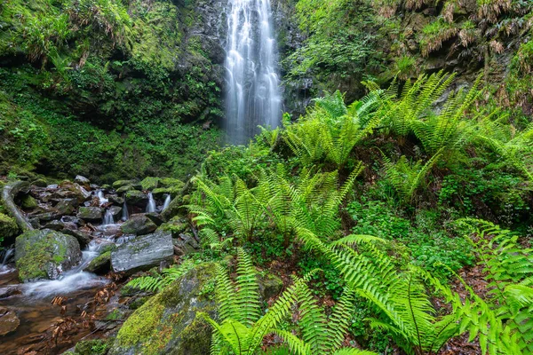 Vízesés Belaustegi Bükk Erdő Gorbea Natural Park Vizcaya Spanyolország — Stock Fotó