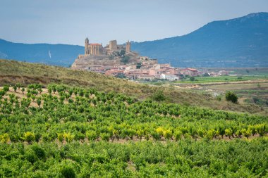 Arka plan olarak San Vicente de la Sonsierra köyü ile yaz aylarında Üzüm Bağları, La Rioja, İspanya