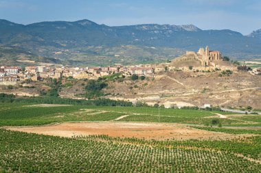 Arka plan olarak San Vicente de la Sonsierra köyü ile yaz aylarında Üzüm Bağları, La Rioja, İspanya