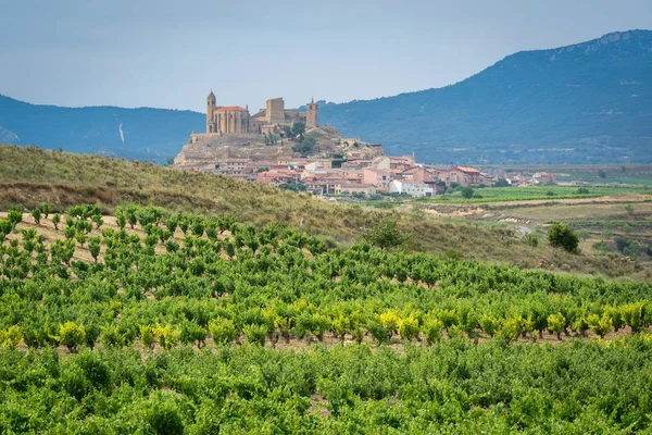 Vinhedos Verão Com Aldeia San Vicente Sonsierra Como Fundo Rioja — Fotografia de Stock