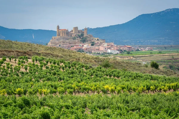 Weinberge Sommer Mit San Vicente Sonsierra Dorf Als Hintergrund Rioja — Stockfoto