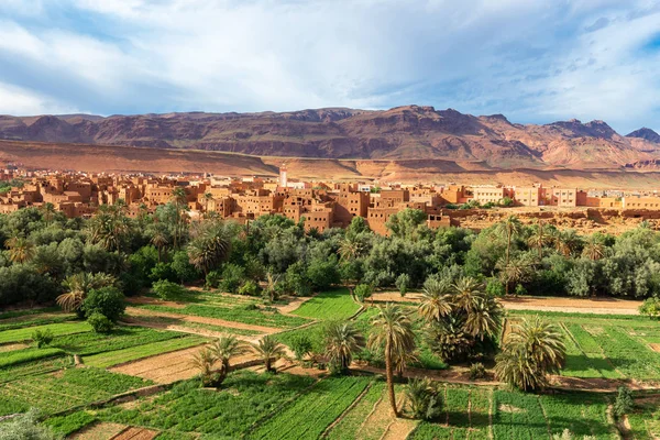 Ville Oasis Tinerhir Maroc — Photo
